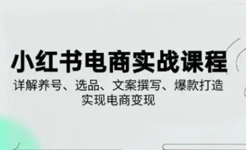 小红书从0-1实操课(2023-2025)，详解养号、选品、文案撰写、爆款打造实现电商变现-轻创云