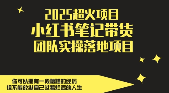 2025超火项目，副业最佳选择，小红书笔记带货团队实操落地项目，，轻松日入5张-轻创云