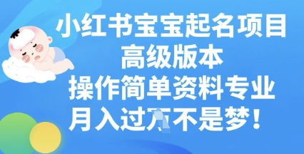 小红书宝宝起名项目高级版本，操作简单，资料专业，月入过W-轻创云