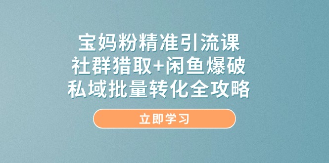 （14820期）宝妈粉精准引流课，社群猎取+闲鱼爆破，私域批量转化全攻略-轻创云