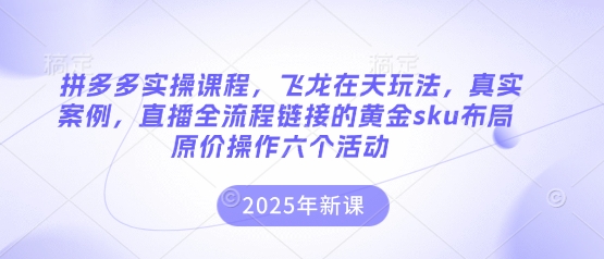 拼多多实操课程，飞龙在天玩法，真实案例，直播全流程链接的黄金sku布局原价操作六个活动-轻创云