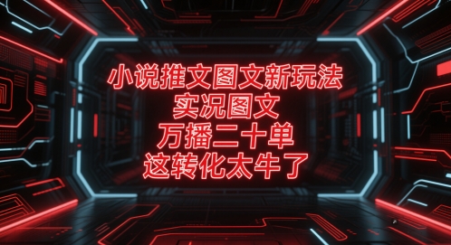 小说推文图文新玩法，实况图文，万播二十单，这转化太牛了！-轻创云