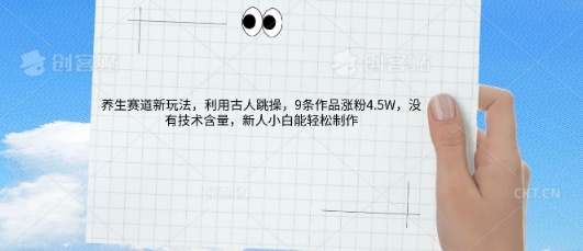AI养生赛道新玩法，10条作品涨粉5.2W，操作简单，新人小白能轻松制作-轻创云