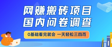 网创搬砖项目，国内问卷调查，小白轻松上手，一天三四张的也不难，干就完了【揭秘】-轻创云