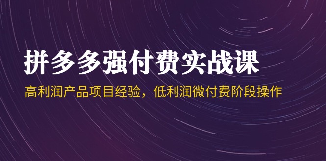 （14874期）拼多多强付费实战课-44期，高利润产品项目经验，低利润微付费阶段操作-轻创云