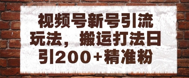 视频号新号引流玩法，搬运打法日引200+精准粉，可矩阵放大【揭秘】-轻创云