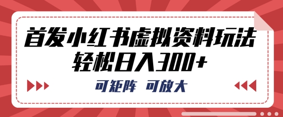 首发小红书虚拟资料玩法，可矩阵，可放大，轻松日入3张-轻创云