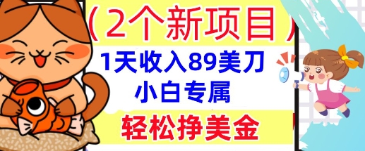 2个新项目，轻松挣美金， 1天收入89美刀，小白专属，干货分享-轻创云