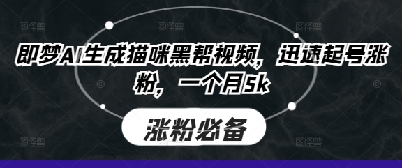 即梦AI生成猫咪黑帮视频，迅速起号涨粉，一个月5k-轻创云