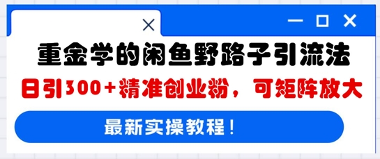 重金学的闲鱼野路子引流法，日引300+精准创业粉，可矩阵放大-轻创云