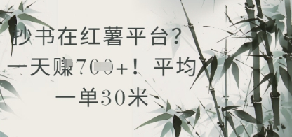 抄书在小红薯平台？平均一单30米，一天收益几张！-轻创云