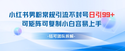 小红书男粉常规引流不封号日引99+变现简单 可矩阵可复制小白容易上手-轻创云