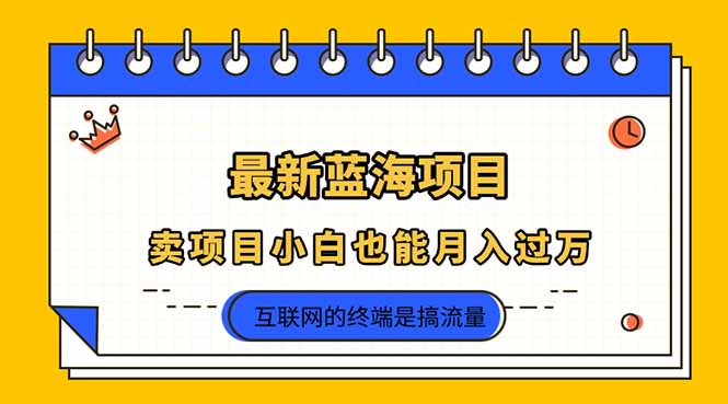 （14289期）2025年最新蓝海项目，卖项目小白也能月入过万-轻创云