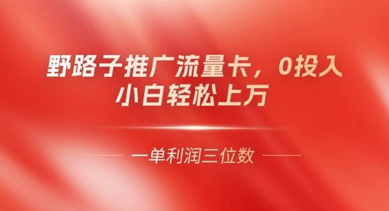 0门槛推广流量卡，一单收益上百，0投入，小白月入过W-轻创云