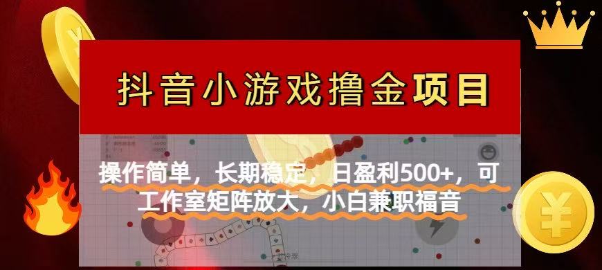 （14290期）【抖音小游戏发行人计划项目】操作简单，长期稳定，日盈利500+，可工作…-轻创云