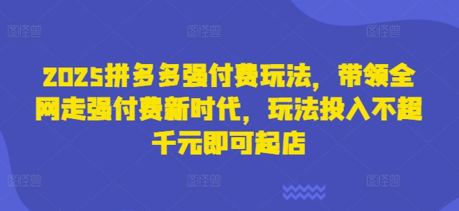 2025拼多多强付费玩法，带领全网走强付费新时代，玩法投入不超千元即可起店-轻创云