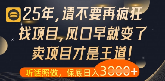 什么？25年你还在疯狂找项目做，醒醒吧，看完这些你全都懂了【揭秘】-轻创云