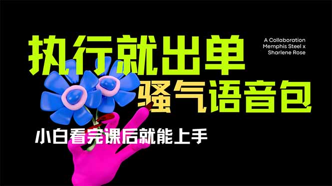 （14170期）爆火全网的开车导航骚气语音包,只要执行就出单，小白看完课程就能实操…-轻创云