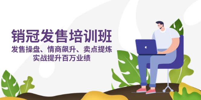 （14203期）销冠 发售培训班：发售 操盘+情商 飙升+卖点 提炼，实战提升百万业绩-轻创云