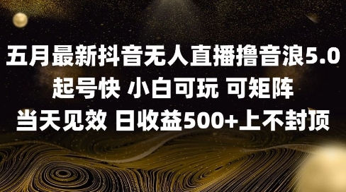 2025五月最新无人直播撸音浪单日产出5张+实操教程【揭秘】-轻创云
