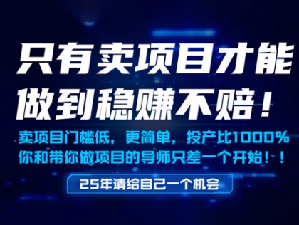 只有卖项目才能做到稳挣不赔，门槛低，更简单，你也可以年入百个W【揭秘】-轻创云