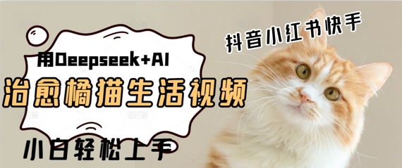 疯狂火爆，用Deepseek+AI做治愈橘猫系列视频，小白轻松制作+快速拿到结果-轻创云