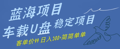 蓝海项目车载U盘稳定项目，挣的就是信息差，客单价99，日入几张简简单单-轻创云